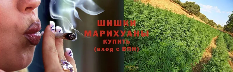 закладка  Бронницы  Шишки марихуана Bruce Banner 